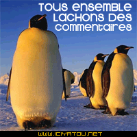 C importan